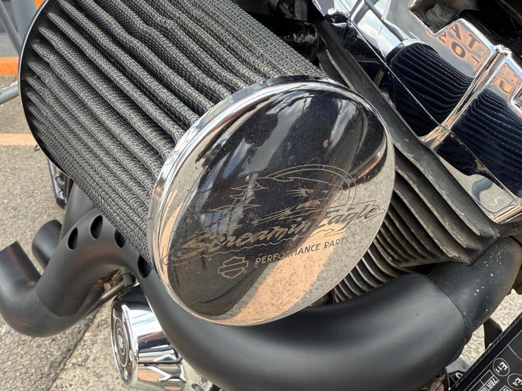 HARLEY-DAVIDSON Softail