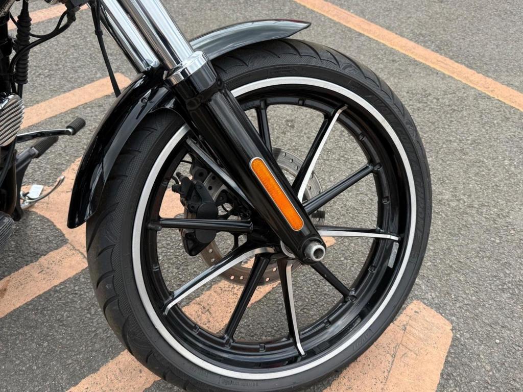 HARLEY-DAVIDSON Softail