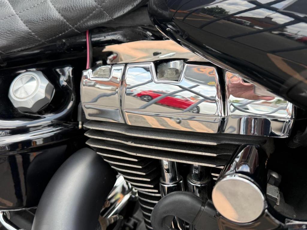 HARLEY-DAVIDSON Softail