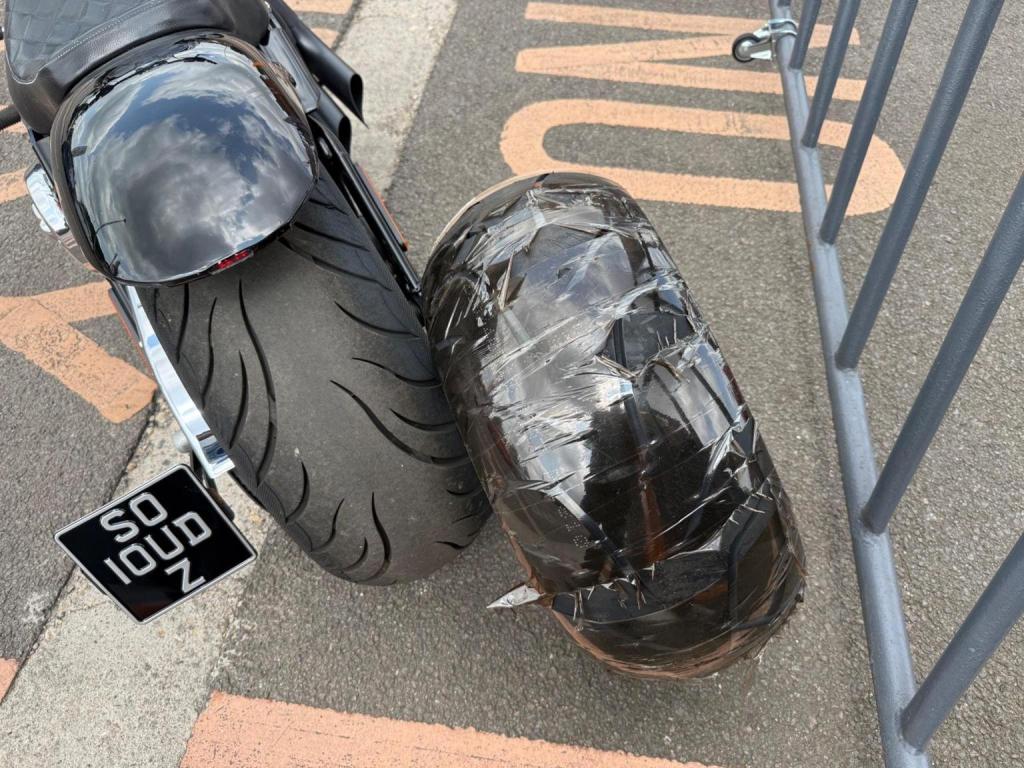 HARLEY-DAVIDSON Softail