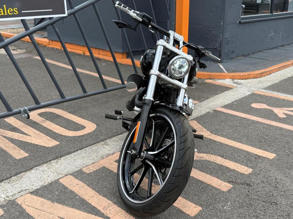 HARLEY-DAVIDSON Softail