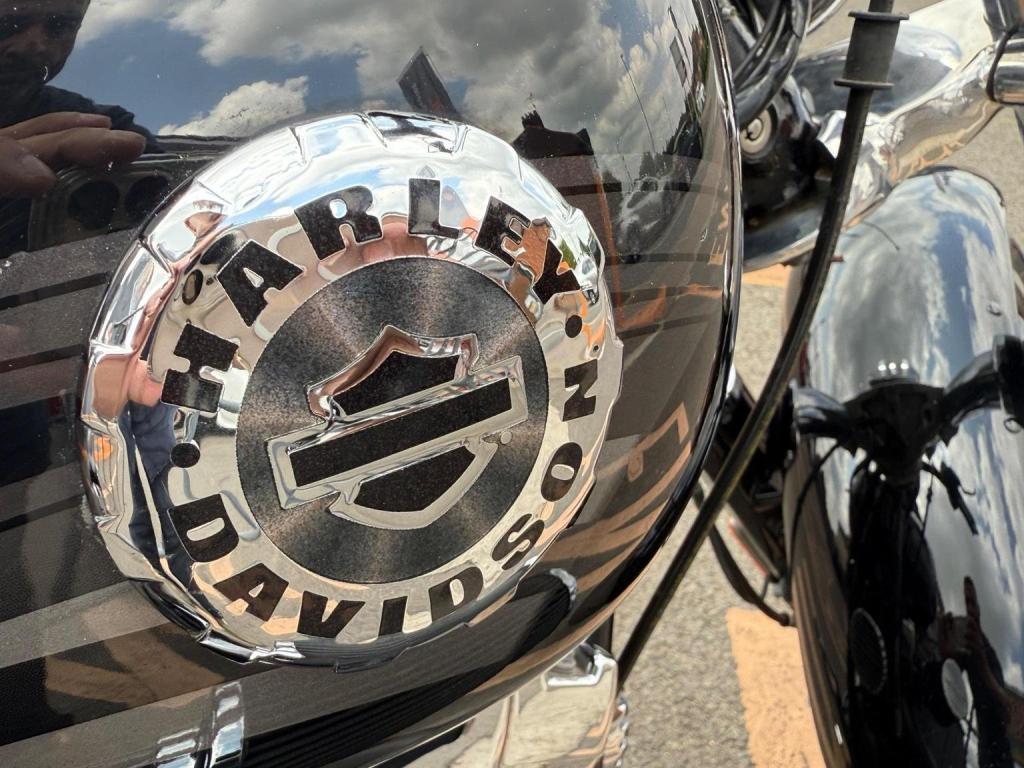 HARLEY-DAVIDSON Softail