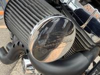 HARLEY-DAVIDSON Softail