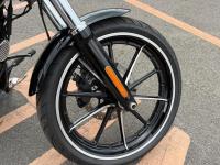 HARLEY-DAVIDSON Softail