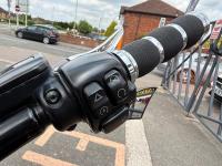 HARLEY-DAVIDSON Softail