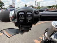 HARLEY-DAVIDSON Softail