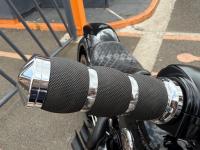 HARLEY-DAVIDSON Softail