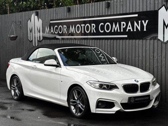BMW 2 SERIES 2.0 218d M Sport Euro 6 (s/s) 2dr
