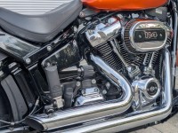 HARLEY-DAVIDSON Softail