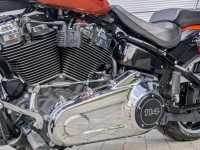 HARLEY-DAVIDSON Softail