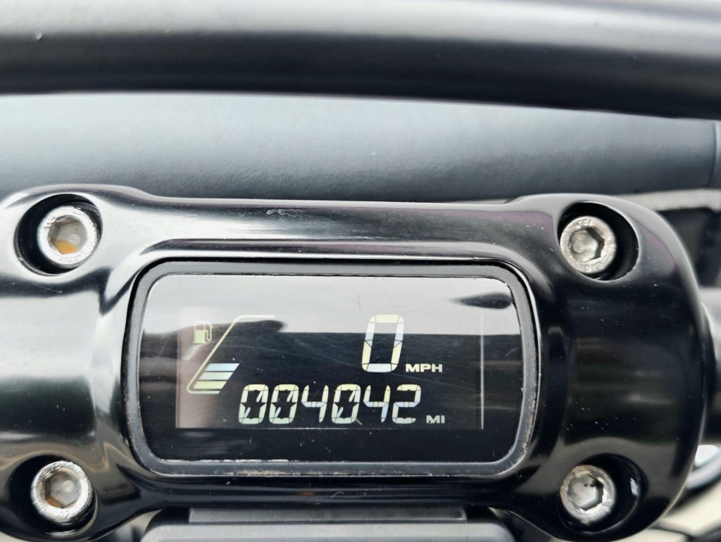 HARLEY-DAVIDSON Softail