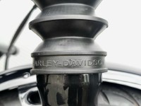 HARLEY-DAVIDSON Softail