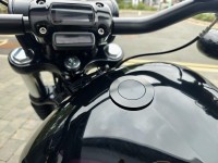 HARLEY-DAVIDSON Softail