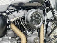 HARLEY-DAVIDSON Softail