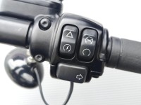 HARLEY-DAVIDSON Softail