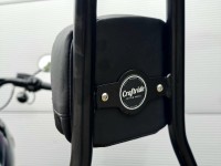 HARLEY-DAVIDSON Softail