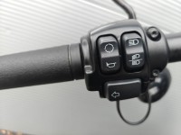 HARLEY-DAVIDSON Softail